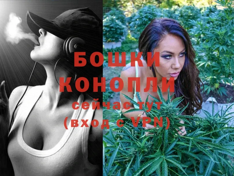 Каннабис White Widow  Почеп 